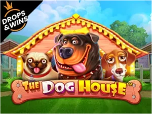 Dog House